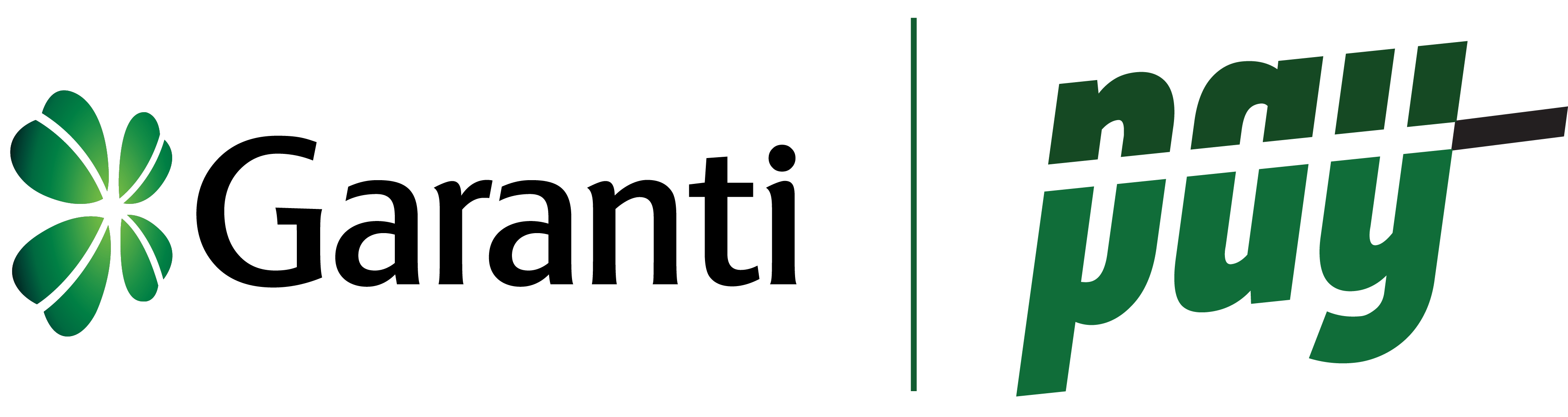 garanti pay